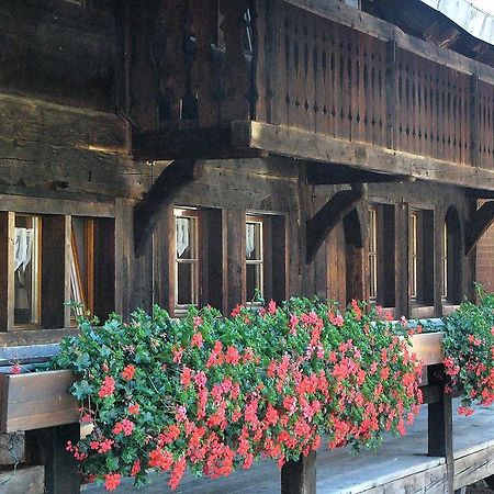 شقة فيرينفونونغين ستيرنينتهال Menzenschwand-Hinterdorf المظهر الخارجي الصورة