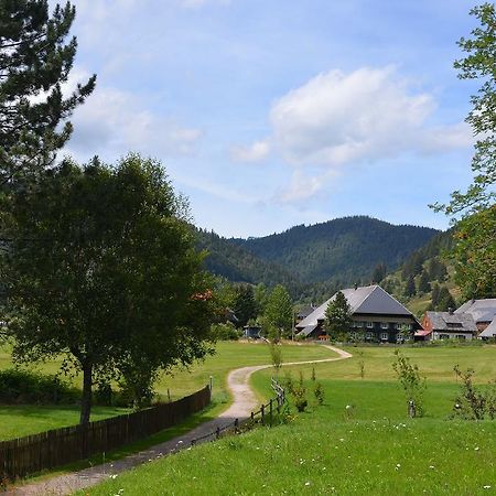 شقة فيرينفونونغين ستيرنينتهال Menzenschwand-Hinterdorf المظهر الخارجي الصورة