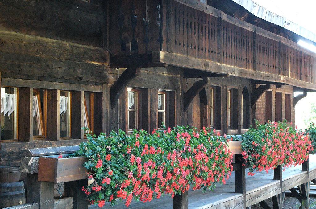 شقة فيرينفونونغين ستيرنينتهال Menzenschwand-Hinterdorf المظهر الخارجي الصورة