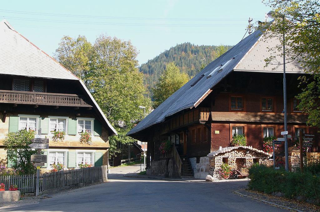 شقة فيرينفونونغين ستيرنينتهال Menzenschwand-Hinterdorf المظهر الخارجي الصورة