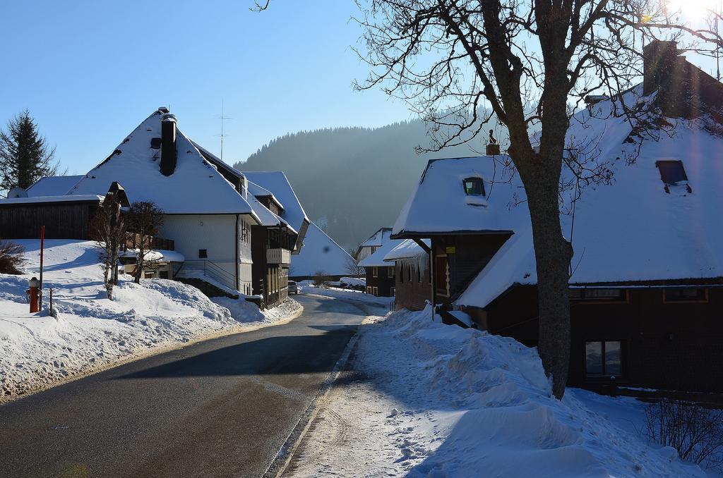 شقة فيرينفونونغين ستيرنينتهال Menzenschwand-Hinterdorf المظهر الخارجي الصورة