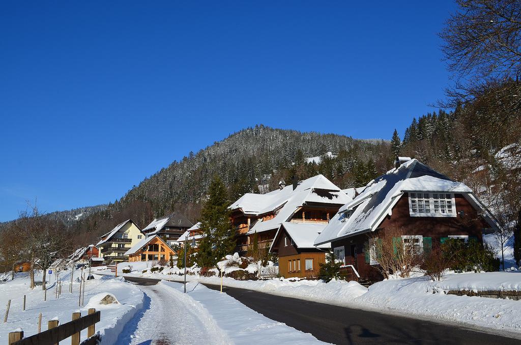 شقة فيرينفونونغين ستيرنينتهال Menzenschwand-Hinterdorf المظهر الخارجي الصورة